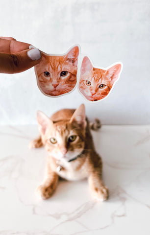 Custom Pet Stickers - Paquete de 6