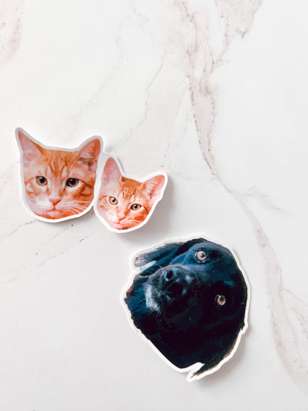 Custom Pet Stickers - Paquete de 6